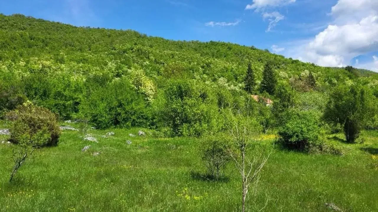 Sale, land lot, 160000m², Centar, Nikšić