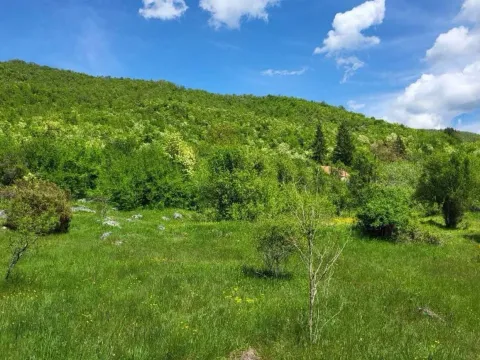 Zemljište in Centar
