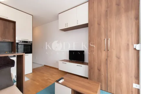 Sale, studio apartment, 23m², Stari Aerodrom, Podgorica - image 9