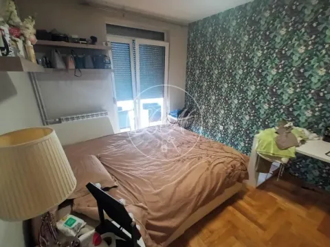 Prodaja, kuća, 256m², Zemun Sve Podlokacije, Beograd - image 9