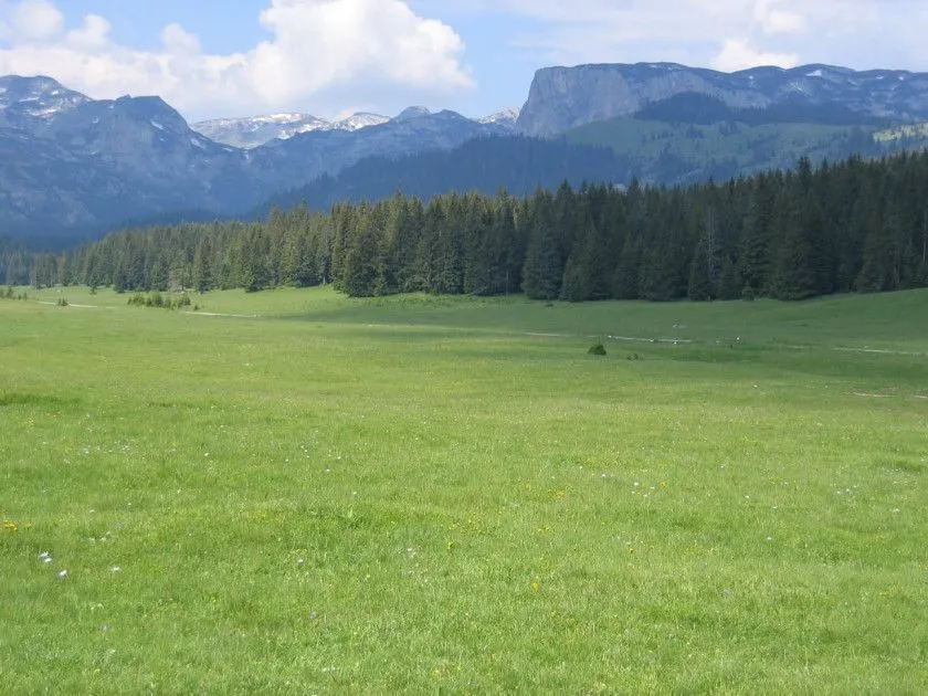 Prodaja, plac, 6056m², Žabljak, Crna Gora