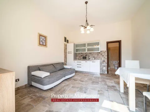 Prodaja, kuća, 971m², Petrovac, Budva - image 81