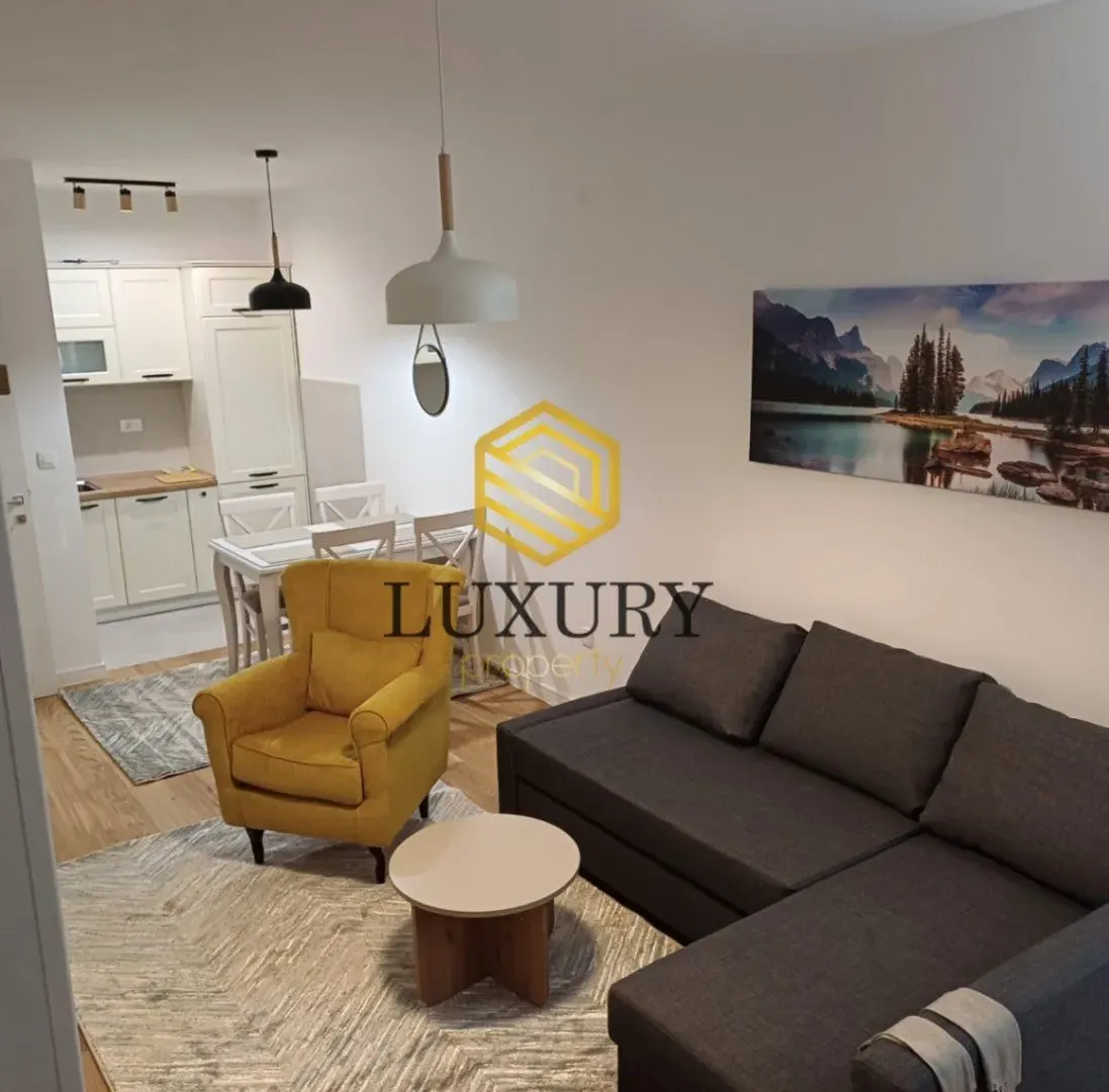 Izdavanje, jednosoban stan, 45m², Central Point, Podgorica