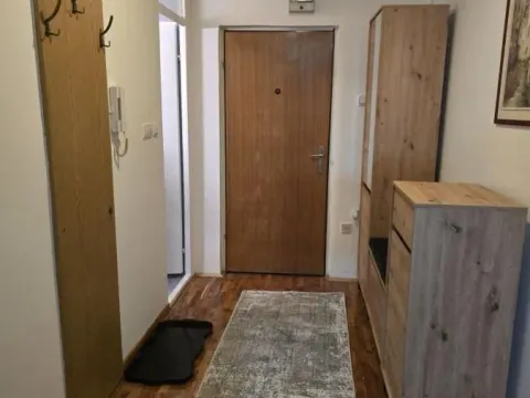 Izdavanje, dvosoban stan, 50m², Detelinara, Novi Sad Sve Podlokacije - image 14