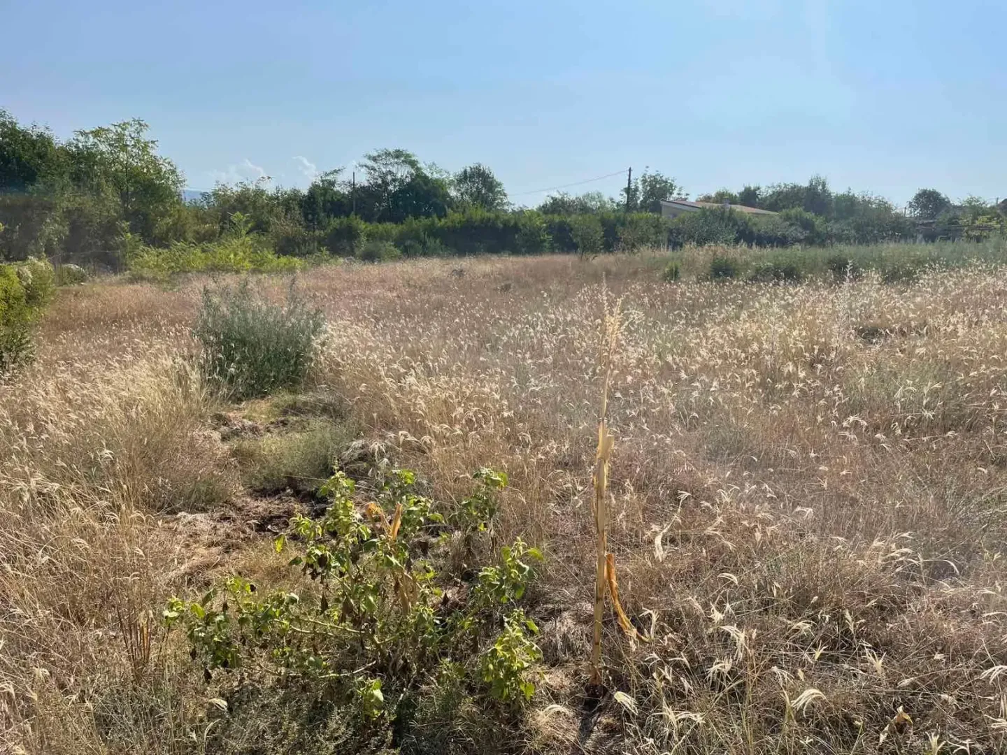 Prodaja, plac, 2454m², Novo Selo, Danilovgrad