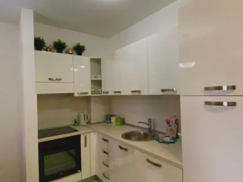 Izdavanje, jednosoban stan, 52m², Dobrota, Kotor - image 7