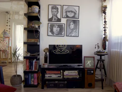 Prodaja, dvosoban stan, 55m², Železnička Stanica, Novi Sad Sve Podlokacije - image 5