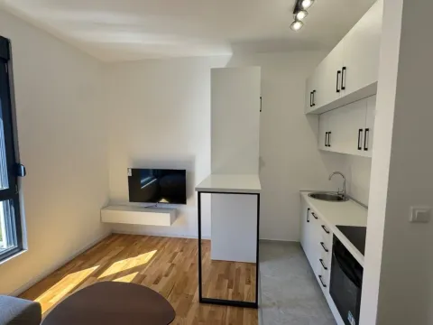 Izdavanje, garsonjera, 21m², Tološi, Podgorica - image 1