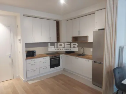 Izdavanje, dvosoban stan, 59m², Savski Venac, Beograd - image 7