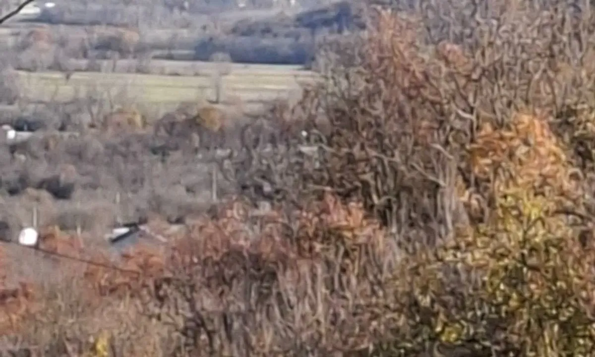 Sale, land lot, 5514m², Bandići, Danilovgrad