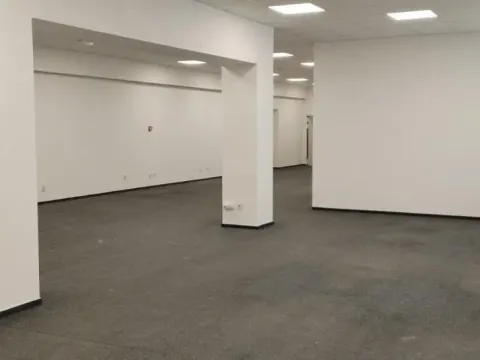 Izdavanje, poslovni prostor, 320m², Novi Beograd Blok 65, Novi Beograd Sve Podlokacije - image 7