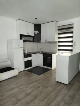 Izdavanje, trosoban stan, 60m², Zvezdara Sve Podlokacije, Beograd - image 4