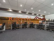 Sale, office space, 315m², Banovo Brdo, Beograd - image 4