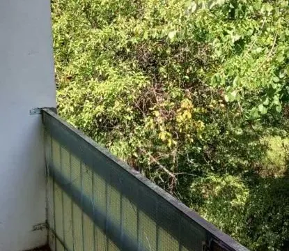 Prodaja, trosoban stan, 76m², Cerak, Beograd - image 7