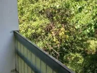 Prodaja, trosoban stan, 76m², Cerak, Beograd - image 7