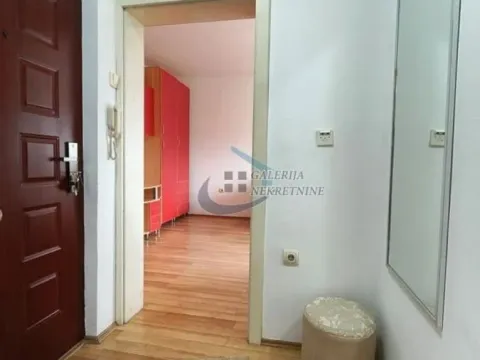 Izdavanje, jednosoban stan, 34m², Voždovac Sve Podlokacije, Beograd - image 9