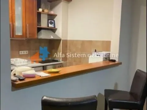 Izdavanje, dvosoban stan, 50m², Vračar Sve Podlokacije, Beograd - image 5