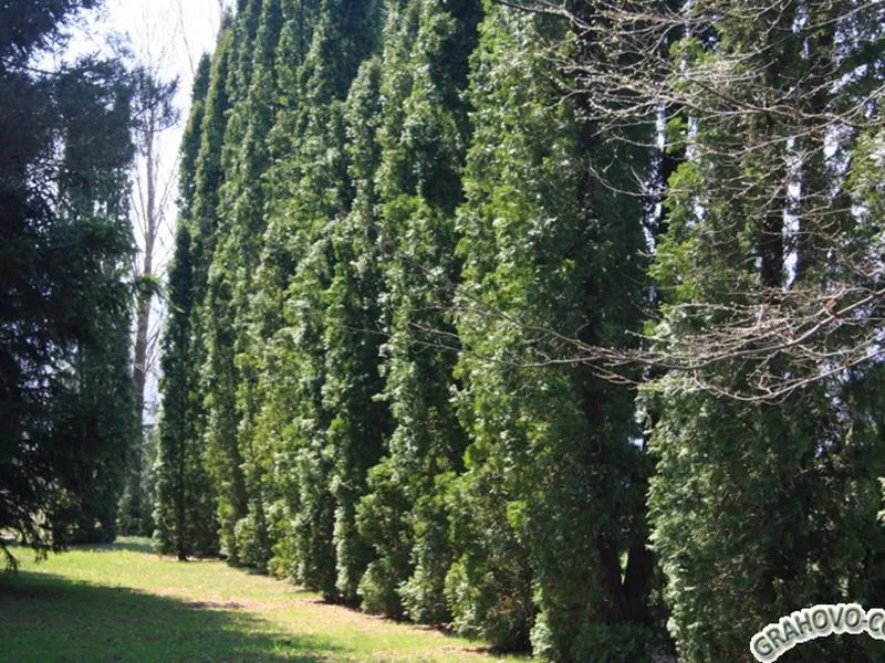 Prodaja, plac, 26m², Nikšić, Crna Gora
