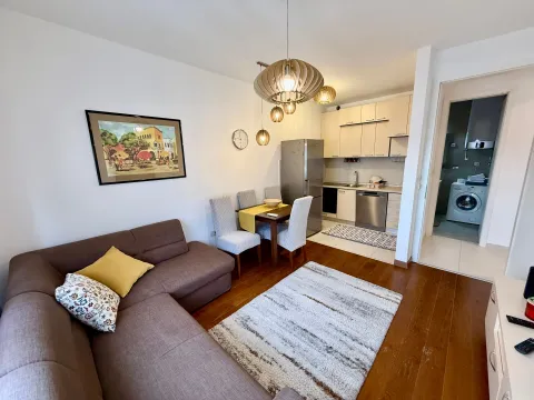 Izdavanje, jednosoban stan, 50m², Stara Varoš, Podgorica - image 5