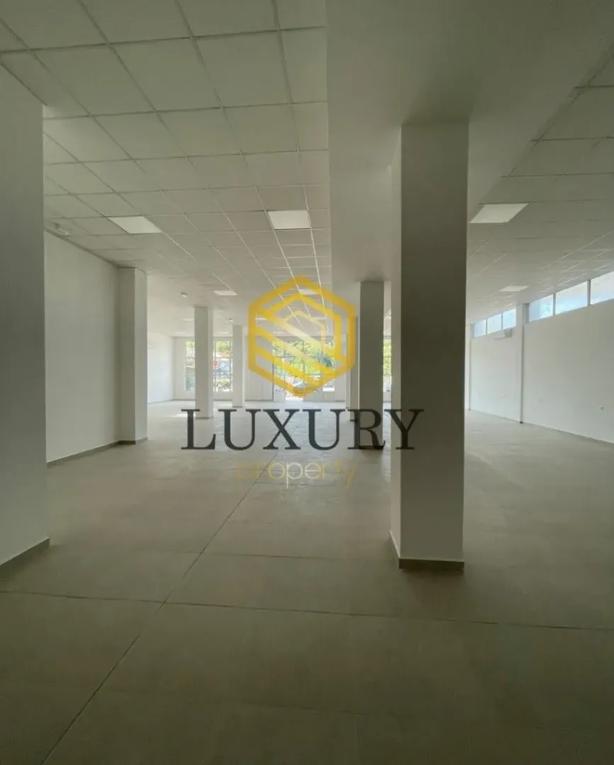 Rent, office space, 370m², Zabjelo, Podgorica