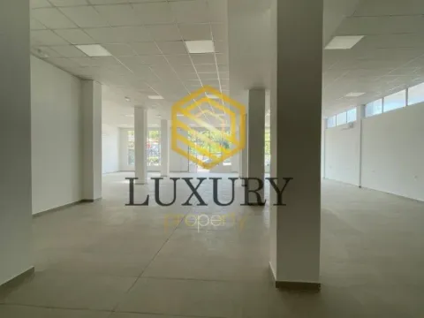 Izdavanje, poslovni prostor, 370m², Zabjelo, Podgorica - image 8