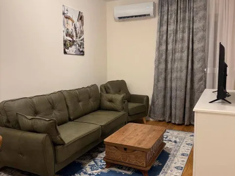 Izdavanje, jednosoban stan, 40m², Central Point, Podgorica