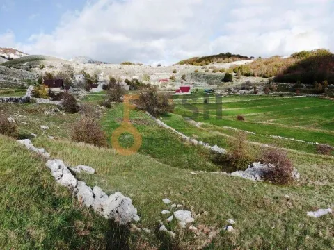 Prodaja, plac, 4307m², Cetinje, Crna Gora - image 6