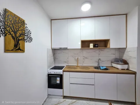 Rent, apartment, 47m², Zagorič, Podgorica - image 4