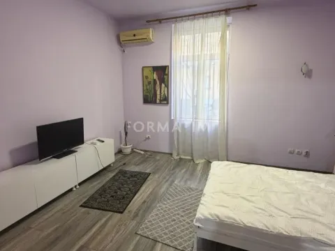 Izdavanje, jednosoban stan, 45m², Vukov Spomenik, Zvezdara Sve Podlokacije - image 10