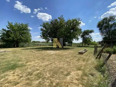 Prodaja, plac, 8023m², Bečej, Novi Sad - image 4