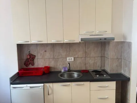 Rent, one bedroom apartment, 29m², Zabjelo, Podgorica - image 7