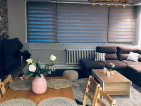 Rent, three bedroom apartment, 69m², Novi Beograd Blok 33, Novi Beograd Sve Podlokacije - image 3