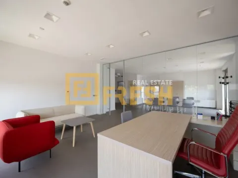 Izdavanje, poslovni prostor, 178m², Preko Morače, Podgorica - image 4