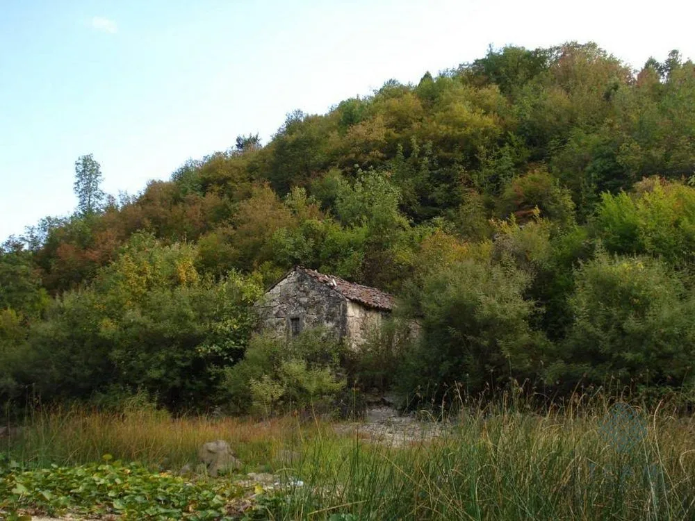 Prodaja, plac, 16400m², Rijeka Crnojevića, Cetinje
