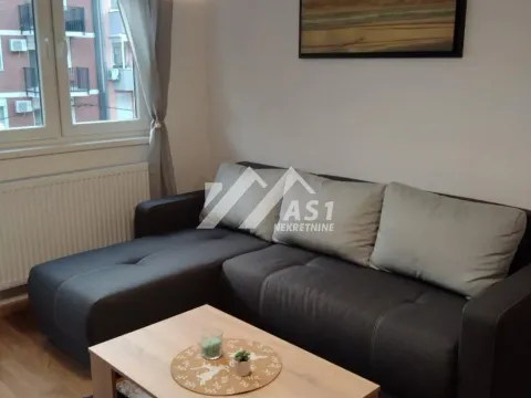 Rent, one bedroom apartment, 44m², Nova Detelinara, Novi Sad Sve Podlokacije - image 2