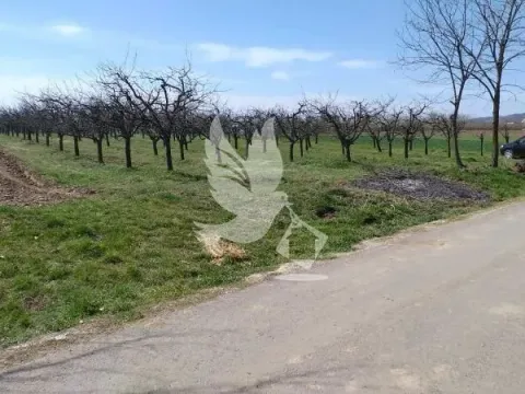 Prodaja, plac, 4500m², Mladenovac, Beograd - image 2