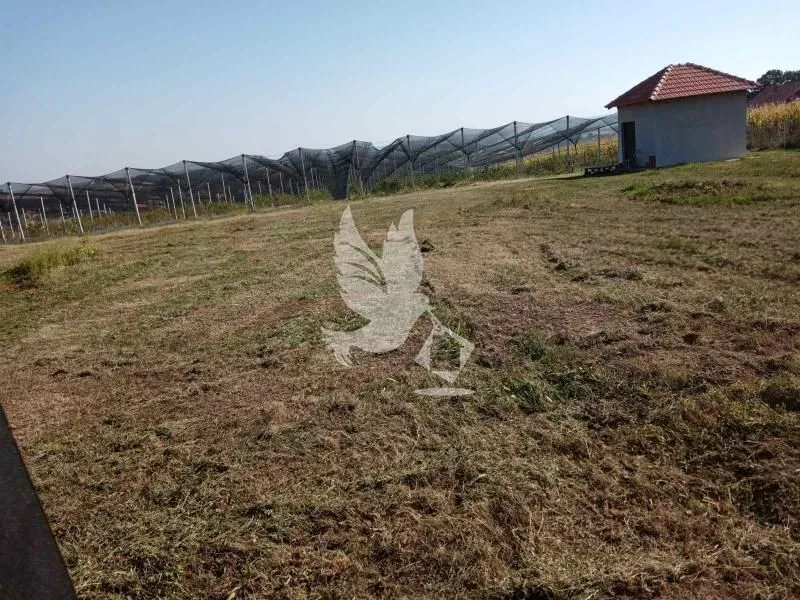 Prodaja, plac, 8874m², Nemenikuće, Sopot