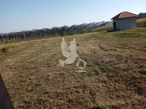 Prodaja, plac, 8874m², Nemenikuće, Sopot - image 8