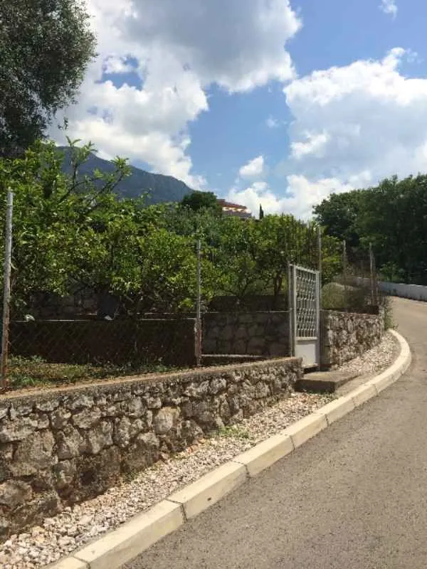 Ograđeno dvorište sa zelenilom pored puta.