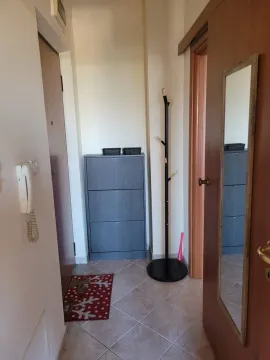 Rent, one bedroom apartment, 59m², Central Point, Podgorica - image 340