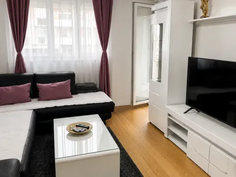 Rent, one bedroom apartment, 49m², Central Point, Podgorica - image 2