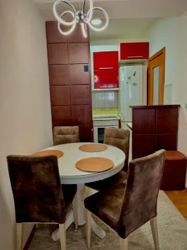 Rent, one bedroom apartment, 59m², Central Point, Podgorica - image 1481