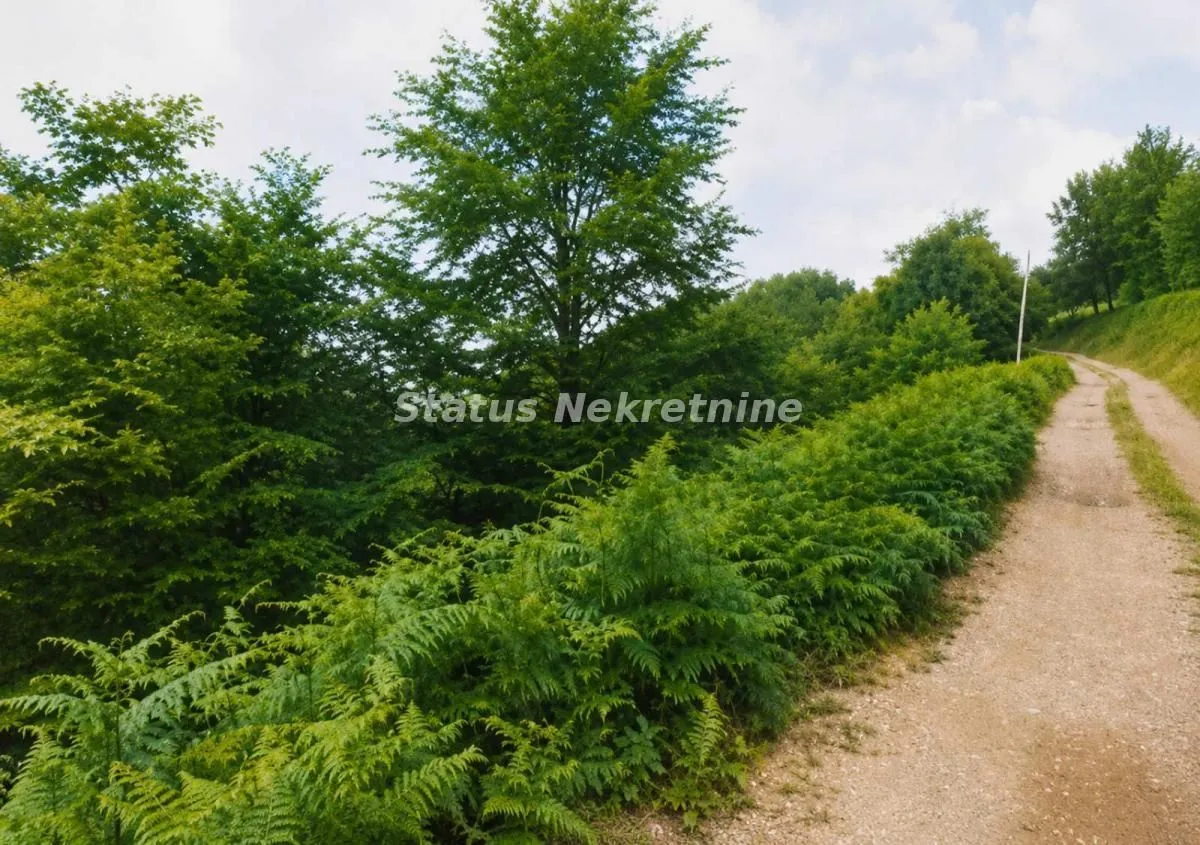 Prodaja, plac, 79429m², Požega, Srbija