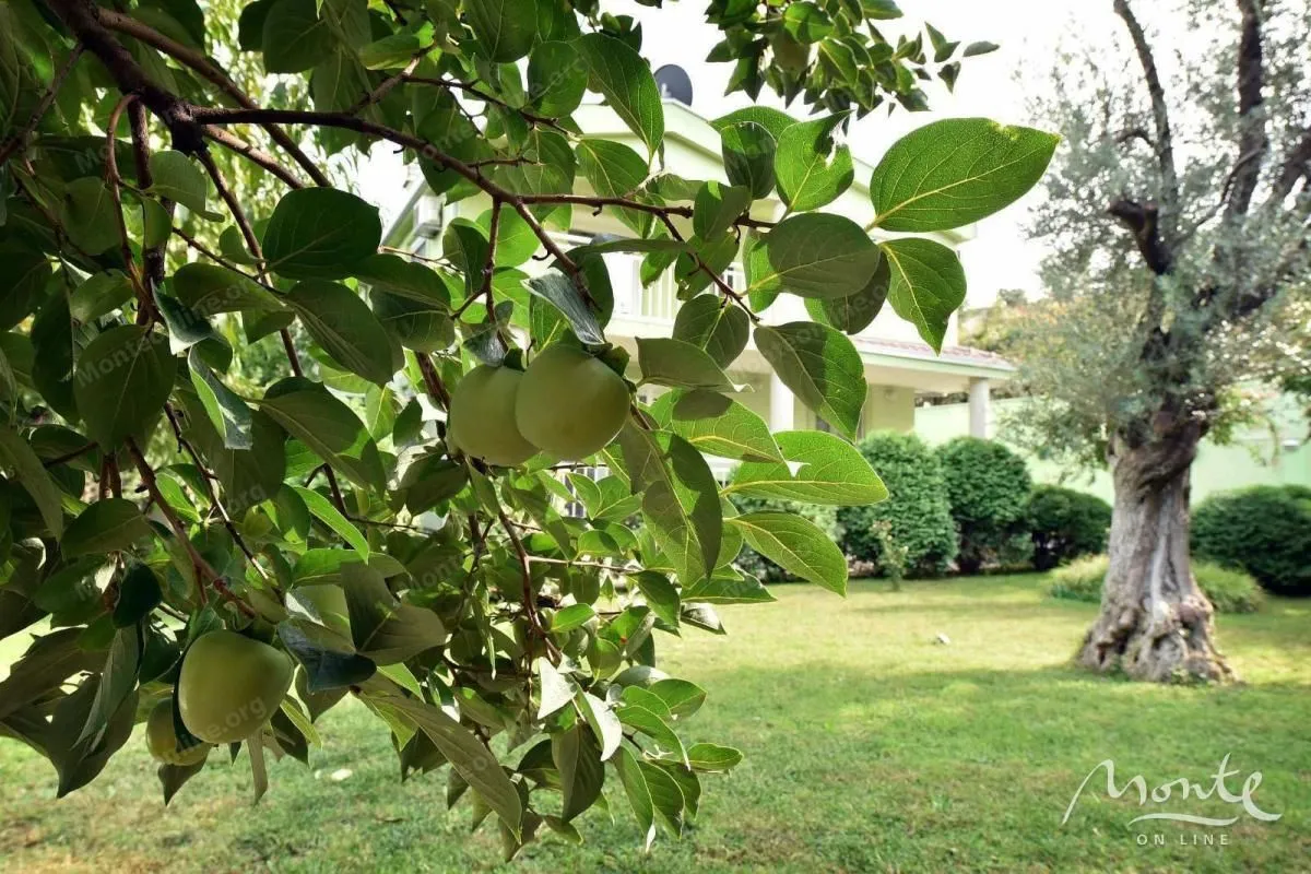 Prodaja, kuća, 175m², Podgorica, Crna Gora