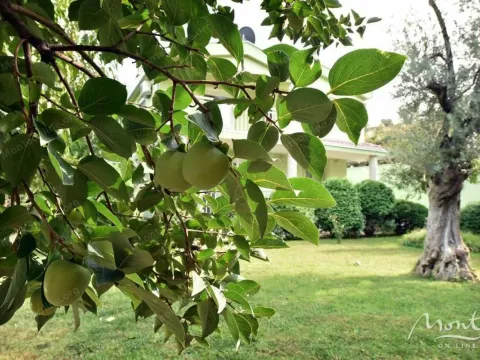 Sale, house, 175m², Podgorica, Crna Gora - image 27