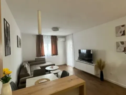 Izdavanje, jednosoban stan, 47m², Stari Aerodrom, Podgorica - image 2