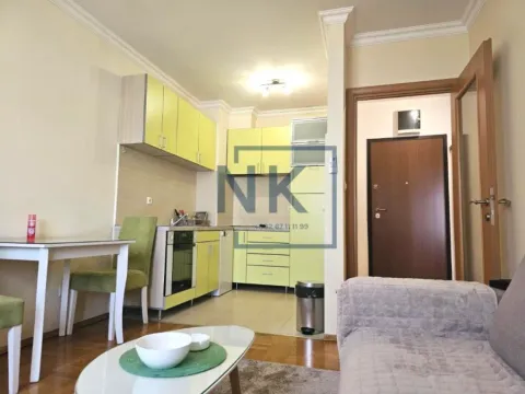 Izdavanje, jednosoban stan, 38m², Stari Aerodrom, Podgorica - image 7