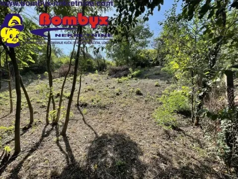 Prodaja, kuća, 500m², Beočin, Srbija - image 20