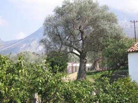 Sale, land lot, 2025m², Bartula, Bar - image 2