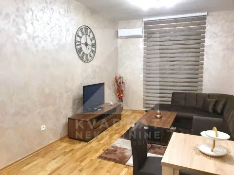 Rent, one bedroom apartment, 54m², Zabjelo, Podgorica - image 2